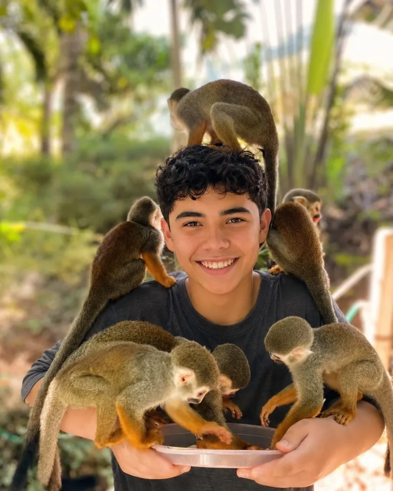 Puerto Plata City & Monkeyland